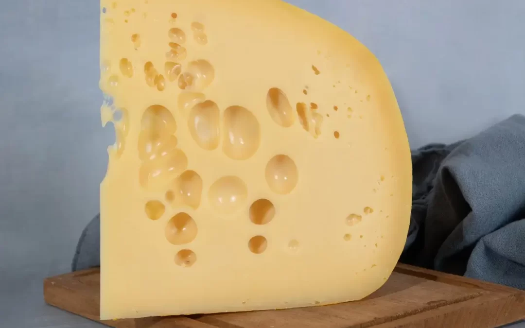 QUESO FONTINA